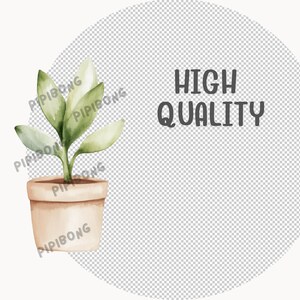 May include: A watercolor illustration of a potted plant with green leaves against a transparent background. The text "HIGH QUALITY" is written in black text.