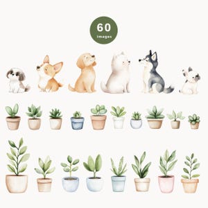 May include: A set of 60 watercolor illustrations featuring cute dogs and potted plants. The dogs are in various poses and breeds, including a Shih Tzu, a Corgi, a Golden Retriever, a Husky, and a French Bulldog. The plants are in various styles of pots, including terracotta, ceramic, and metal.