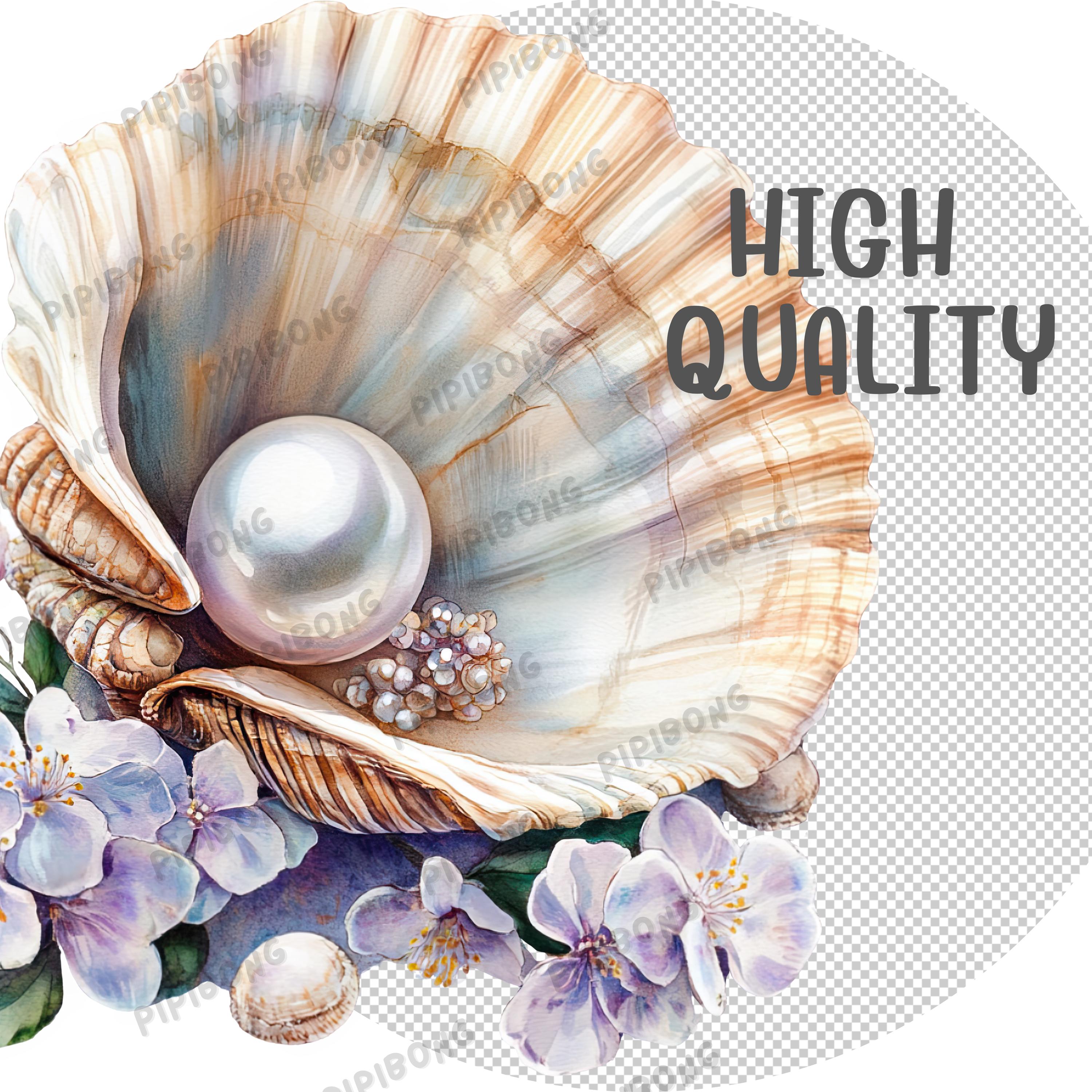 花と鳥　貝殻　絵画　アート　真珠 貝殻のクリップアート、花柄の貝殻真珠のクリップアート、貝殻の水彩画
