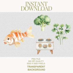 May include: Watercolor illustration of a fish, broccoli, cilantro, and a white stovetop with two burners. The image has a transparent background.