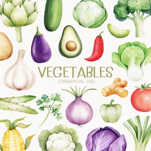 Imágenes prediseñadas de verduras en acuarela, imágenes prediseñadas de alimentos saludables, zanahoria, maíz, brócoli, berenjena, aguacate, tomate, papa, espárragos, arte infantil, guardería