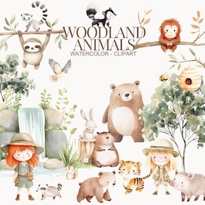 Aquarel bosdieren clipart, schattige bosdieren, dieren clipart, baby bosdieren, babydieren, bosdieren kinderkamer, bosdieren png