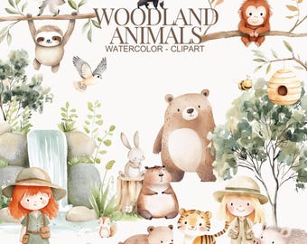 Watercolor Woodland Animals Clipart, Cute Woodland Animals, Animals Clipart, Baby Forest Animals, Baby Animals, Nursery Woodland Animals PNG