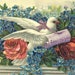 Vintage Greeting Postcard, Vintage Greetings, Vintage Postcard, White Dove with Pick and Red Roses "Love to You"