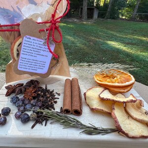 May include: A Yule potpourri kit featuring dried orange slices, apple slices, cinnamon sticks, star anise, cloves, juniper berries, and a sprig of rosemary. A brown paper tag with printed text and a small silver snowflake charm is tied with red twine.
