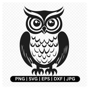 Owl Digital Vector Graphic, Cute Owl Clipart, Instant Download, Cricut, Silhouette, svg, png, eps, dfx, jpg, Owl Illustration