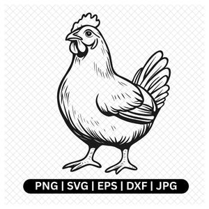 Chicken Digital Vector, Chicken SVG PNG JPG, Hen Outline, Farm Animal Clipart, Chicken Silhouette, Farmhouse Decor, Instant Download