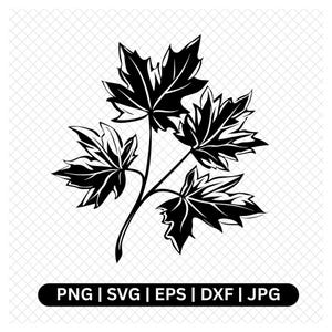 Ahornblatt svg, Ahorn Blatt, Ahornblatt, Ahornblatt, Laubblatt, Laubblatt, Laubblatt, Laubblatt Clipart, Ahornblatt, Ahornblatt, Ahornblatt, Ahornblatt, Ahorn Blatt,