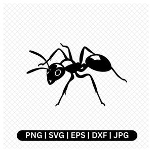 Ant Digital Vector, Insect svg Cut File, Black Ant Clipart png, Bug eps dxf jpg, Ant Silhouette for Cricut, Digital Download