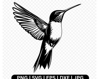 Hummingbird Digital, Vector Graphic, Bird SVG, PNG Cut File, Black, White Clipart, Cricut, Silhouette, Download, Humming Bird Design