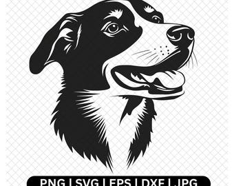 Border Collie svg, Border Collie Clipart, Dog svg, Dog Clipart, Digital Download, Cricut, Silhouette, Vector, png, jpeg, eps, dxf