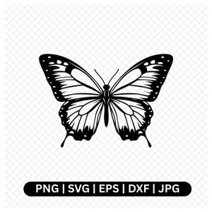 Butterfly Digital,Butterfly Vector,Butterfly SVG,Cricut,Silhouette,Cutting Files,Png,Eps,Dxf,Jpg,Instant Download,Butterfly Clipart