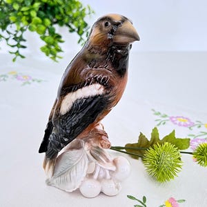Scarce, large vintage Goebel hawfinch figurine in prized glossy glaze from 1967, model CV83, 16cm H