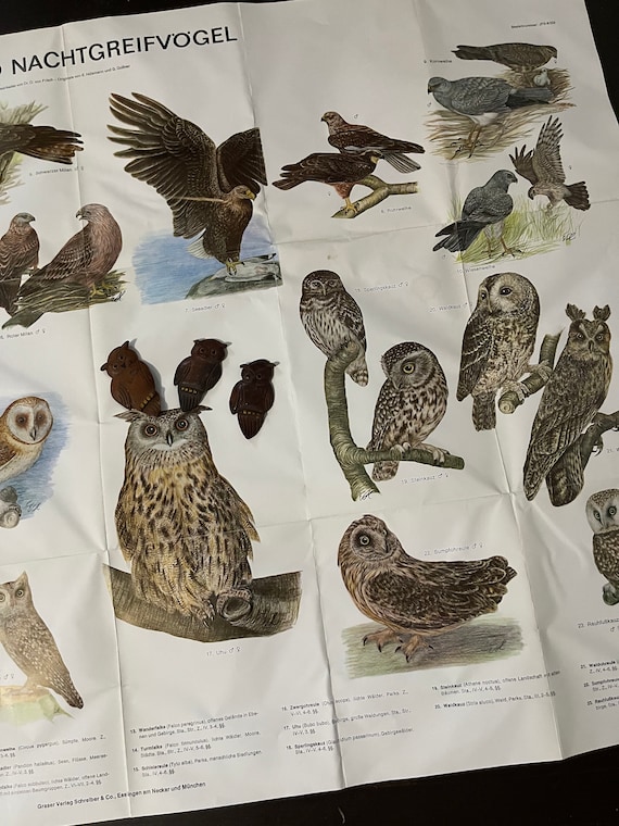Vintage OWL Poster and wooden OWLS Lot