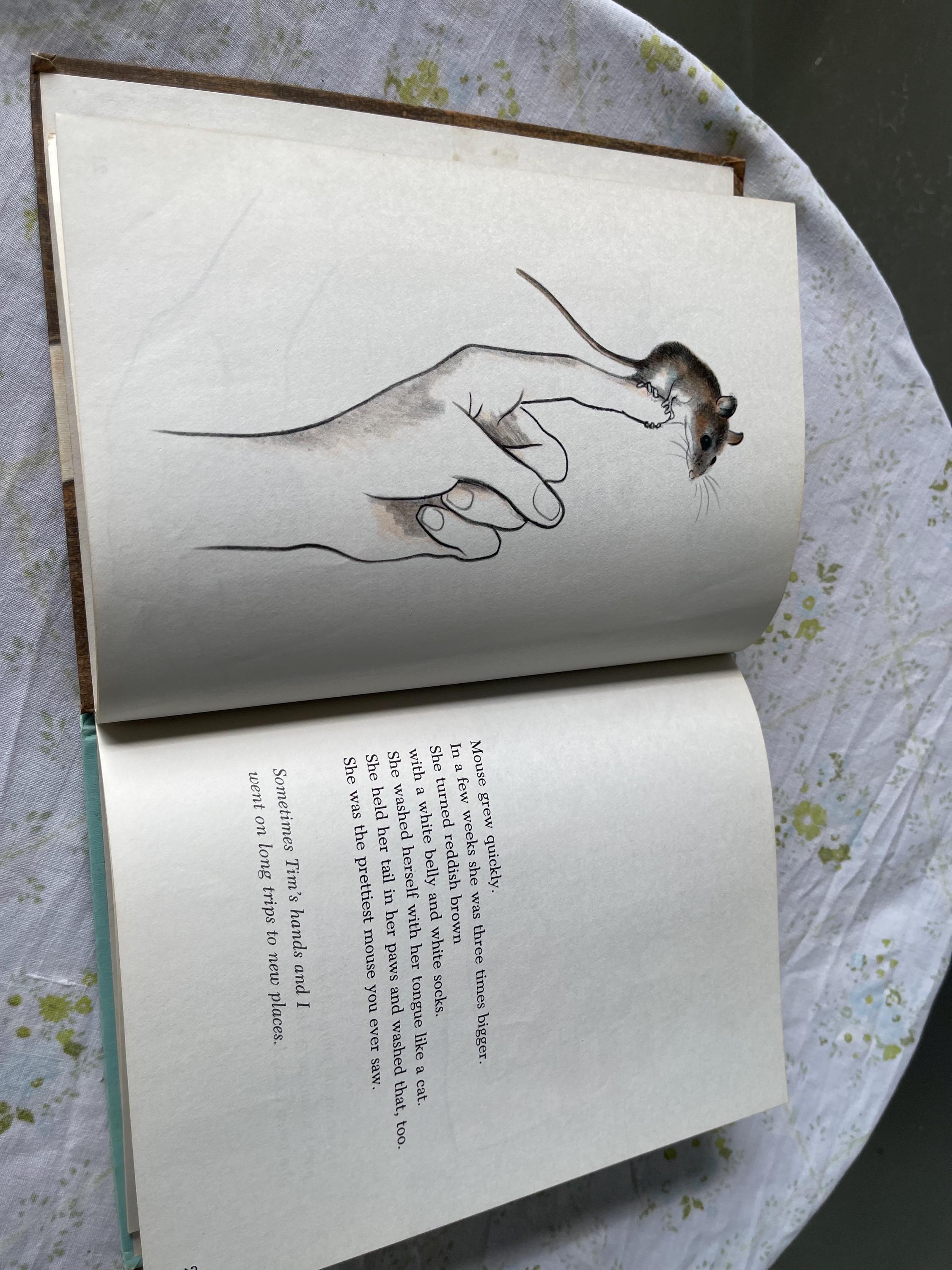 Vintage Lot of 2 CHILDREN Books About Mice - Etsy