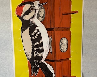 Vintage DONSACHTIGE SPECHT Vogel POSTER