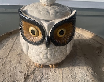 ADORABLE Vintage OWL Retro COOKIE Jar Container Storage