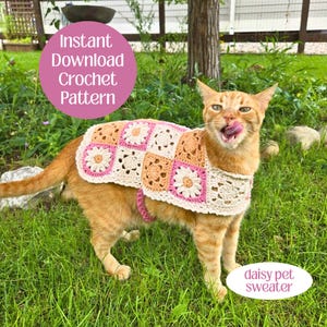 Daisy Grandma Square Cat Sweater häkeln Anleitung: Anfänger-freundliches Haustier Kostüm (PDF-Häkelanleitung)