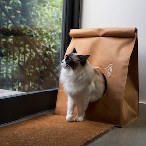 May include: A white and brown cat with blue eyes peeks out of a brown paper bag cat bed. The bag has a white outline of a cat's head on the side.