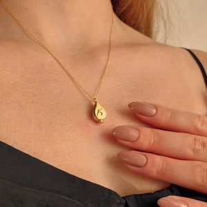 Colar com suporte para cinzas - Joias para urna de cremação - Pingente memorial de ouro/prata 14K - Lembrança de animal de estimação