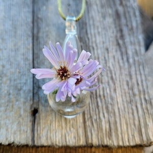 Pode incluir: Uma delicada flor roxa é preservada dentro de um pingente de vidro transparente, pendurado em uma fina corrente dourada. O pingente tem a forma de uma lágrima e a flor está posicionada para parecer que está crescendo do topo do pingente.