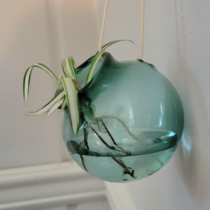 May include: A hanging teal glass orb planter with a small plant inside. The orb is filled with water and suspended by two thin, light-coloured cords. The plant has long, green and white striped leaves.