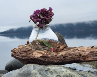 Blown Glass Driftwood Vase