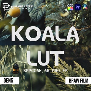 KOALA LUT for BMPCK6K, BRAW