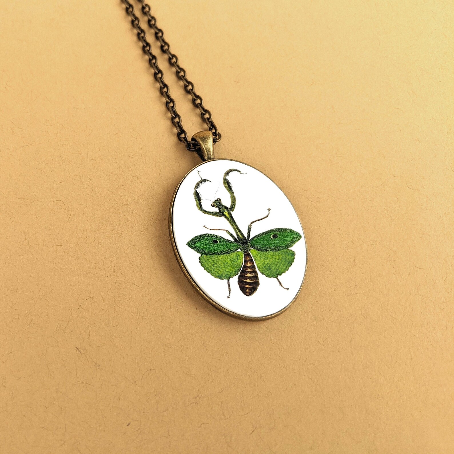 Praying Mantis Necklace Insect Jewelry Entomology Science Etsy