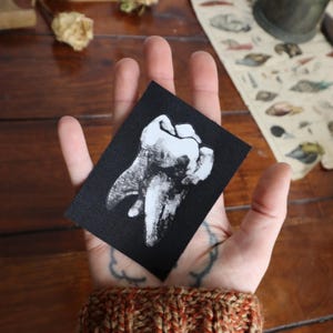 May include: A black fabric patch featuring a white image of a large tooth. The tooth is depicted in detail, showing the enamel and ridges.