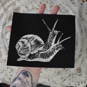 May include: Black fabric patch with a white outline of a snail with a shell. The snail is crawling on a black background.