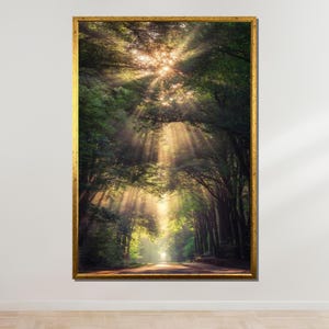 Verzauberter Waldweg Leinwand, Verzauberter Waldweg, Natur Sonnenstrahl Druck, Friedlicher Wald Dekor, Ruhiges Morgenlicht Poster