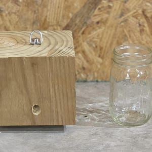 Carpenter Bee Trap