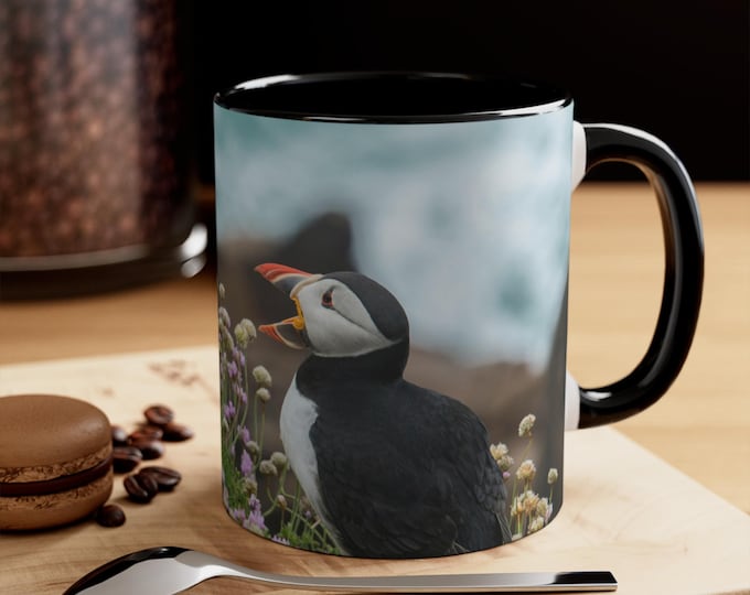 Colorful Accent Mugs, 11oz