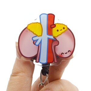 Anatomical Kidney Acrylic Badge Reel for Dialysis Nurses, Urology Doctors, RN, MD, Urologist, Renal, Transplant, Nephrologist New Nurse Gift