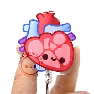 Anatomical Heart Acrylic Badge Reel for Cardiac Nurses, Doctors, Medical Students, Cardiology Residents, EMTs, Researchers, EKG Tech Lanyard