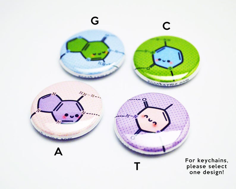 Base Pair,Biology Button DNA Button or Magnet or Keychain Cute Gift Geeky Gift roocharms 1 inch Best Friends Set Science Gift