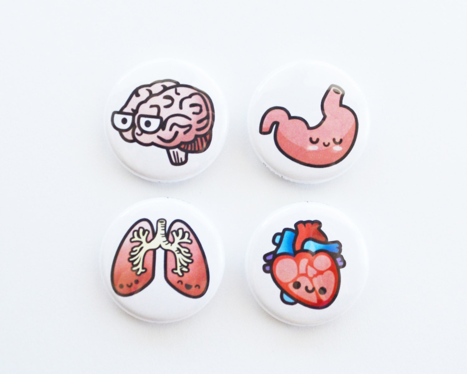 Human Anatomy Button or Magnet or Keychain, Heart Magnet, Heart, Brai…