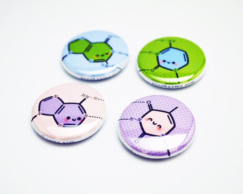 Base Pair,Biology Button DNA Button or Magnet or Keychain Cute Gift Geeky Gift roocharms 1 inch Best Friends Set Science Gift