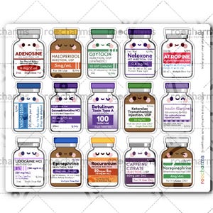 Set of Medication Vial Stickers for Nurses Week Gifts, Nursing Students, Pharmacists, Pharmacy Techs, Pharmacy Students, CPhTs, Healthcare Version 2