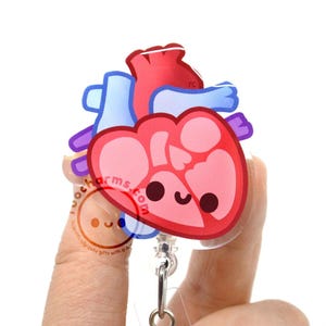 Anatomical Heart Acrylic Badge Reel for Cardiac Nurses, Doctors, Medical Students, Cardiology Residents, EMTs, Researchers, EKG Tech Lanyard