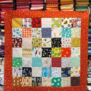 ISpy gender neutral Quilt Top UNFINISHED, ready to quilt, 49 novelty fabrics, I Spy, birds, food, fish, animals, etc. kids quilt, 38.5 inch