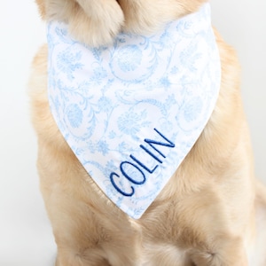 May include: A white dog bandana with a blue floral pattern and the name "COLIN" embroidered in blue. The bandana is triangular and worn around the dog's neck, with the dog's fur visible.