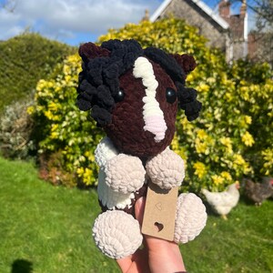 May include: A handmade crochet horse plushie in shades of brown, black, white, and pink. The plushie has a fluffy mane and tail, with a small tag attached. The horse is held in front of a green grassy background.