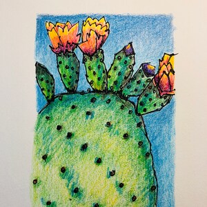 Cactus with orange flowers