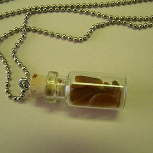 Brown Sea Glass in a Bottle Necklace