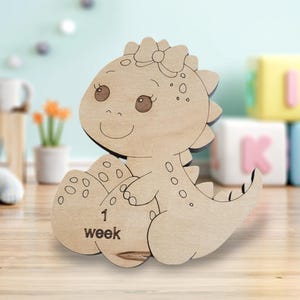 Cartes étape importante pour bébé fille, accessoire photo pour les semaines et les mois des dinosaures