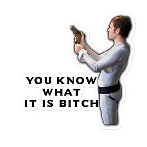 May include: A sticker featuring a person in a light gray jumpsuit holding a brown gun. The sticker has the text "YOU KNOW WHAT IT IS BITCH" in bold, black letters.