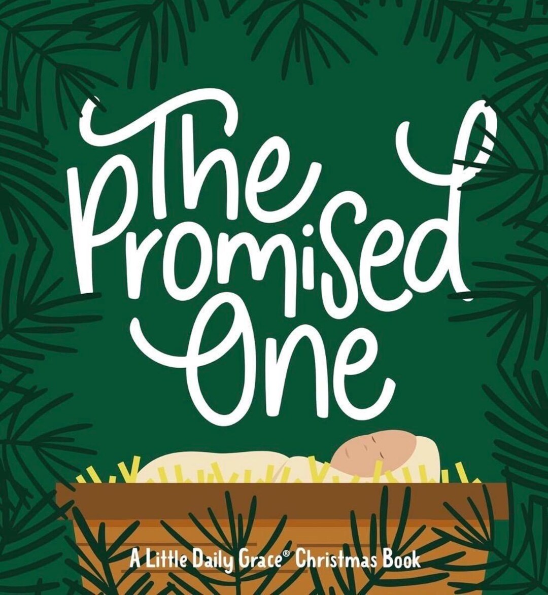 The Promised One Board Book | Christian Christmas Keepsake Gift ...