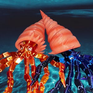 Op de afbeelding: Twee heremietkrabben, een met een oranje schelp en de andere met een blauwe schelp, zijn te zien in een close-up afbeelding. De krabben bevinden zich in een blauwe wateromgeving. De oranje krab heeft een rood en oranje gesegmenteerd lichaam en de blauwe krab heeft een blauw en zwart gesegmenteerd lichaam.